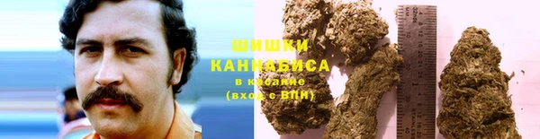 соль ск Белокуриха