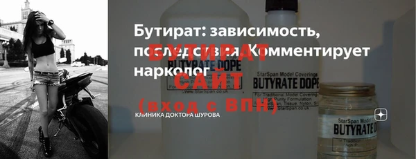 индика Богородицк