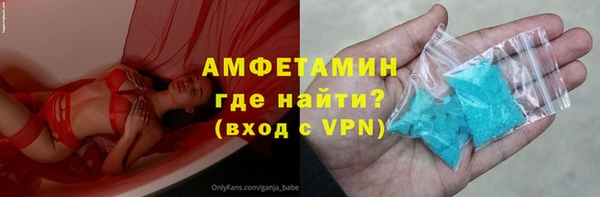 индика Богородицк