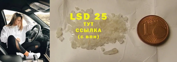 индика Богородицк