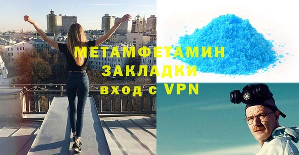индика Богородицк