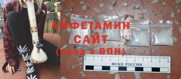 индика Богородицк