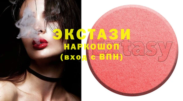 индика Богородицк