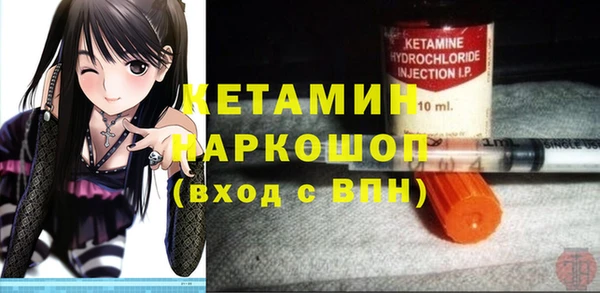 индика Богородицк
