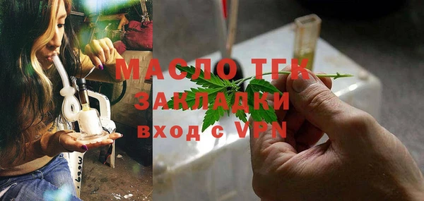 индика Богородицк