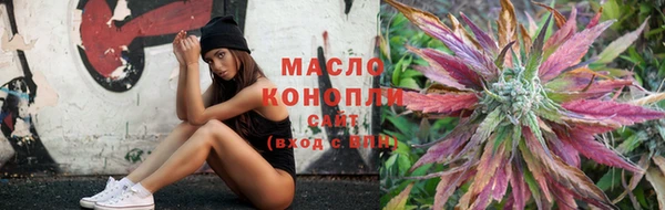 индика Богородицк