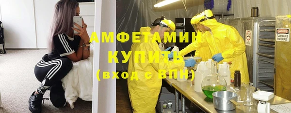 индика Богородицк