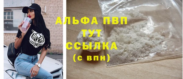 ECSTASY Богданович